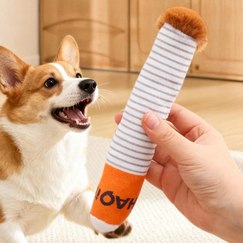 Plush Squeaky Dog Toy