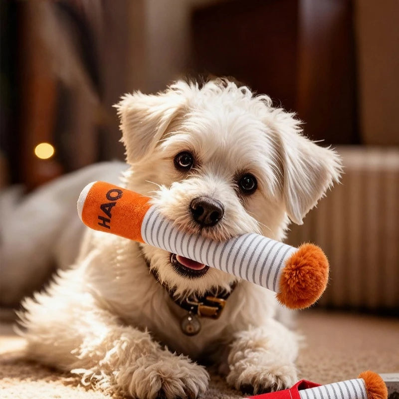 Plush Squeaky Dog Toy